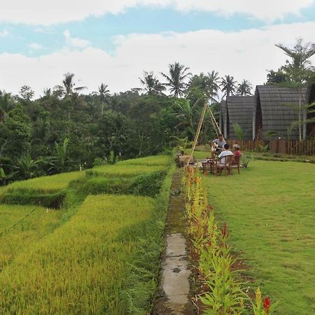 Omah Bapak Ijen Eco House Hotel Licin ภายนอก รูปภาพ