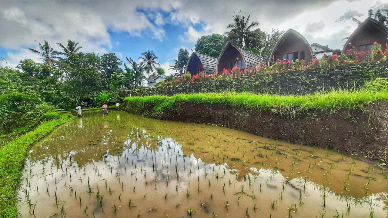 Omah Bapak Ijen Eco House Hotel Licin ภายนอก รูปภาพ