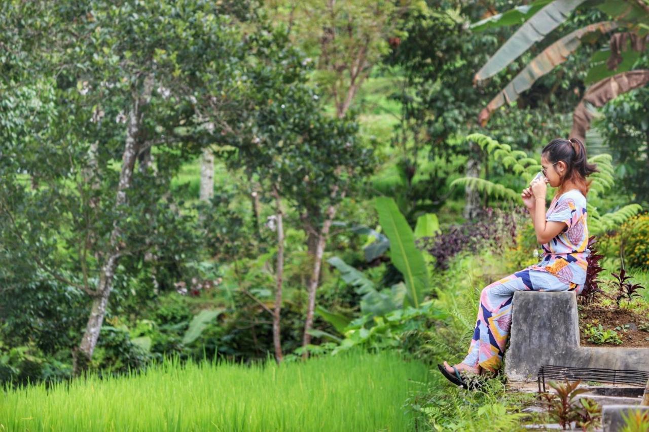 Omah Bapak Ijen Eco House Hotel Licin ภายนอก รูปภาพ