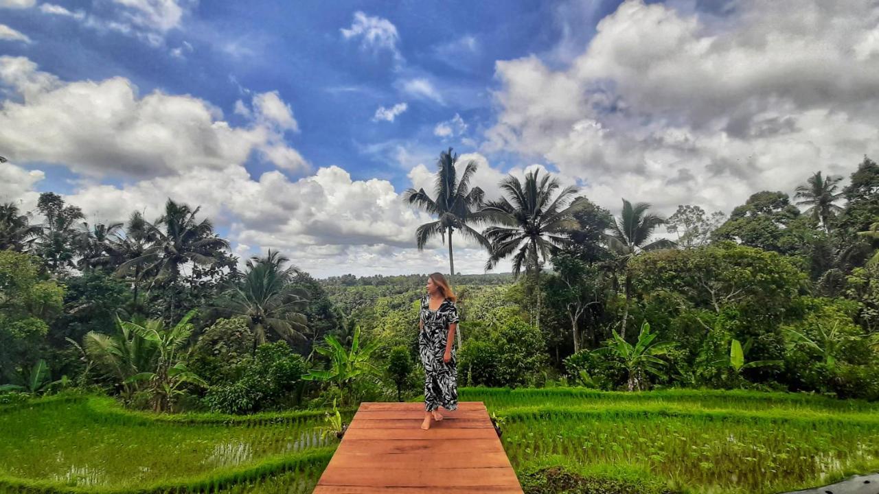 Omah Bapak Ijen Eco House Hotel Licin ภายนอก รูปภาพ