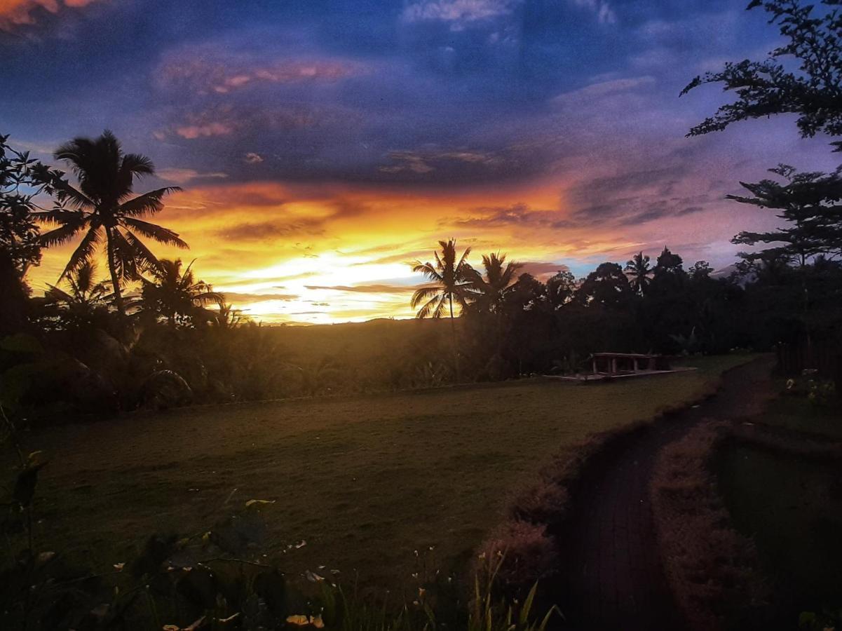 Omah Bapak Ijen Eco House Hotel Licin ภายนอก รูปภาพ
